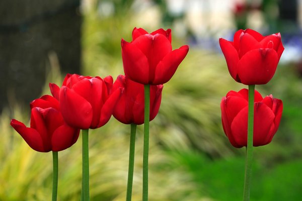 Transformer sa porte avec du papier peint